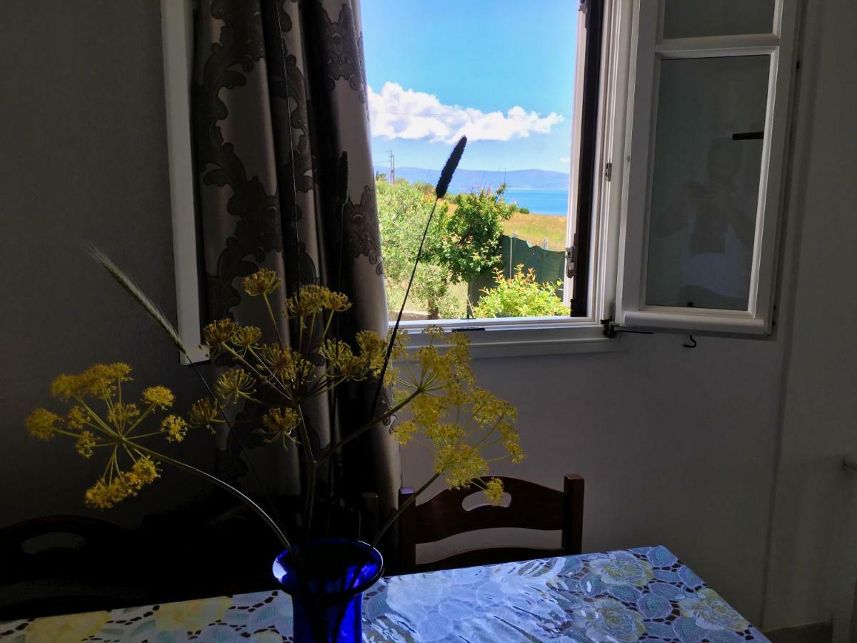 Anthoula'S Sea View Apartment Пісо-Ліваді Екстер'єр фото
